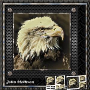 Eagle