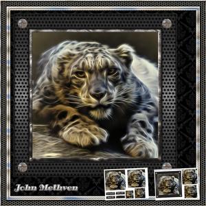 Big Cat