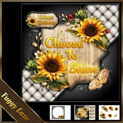 Choose To Shine 8x8 Mini Kit
