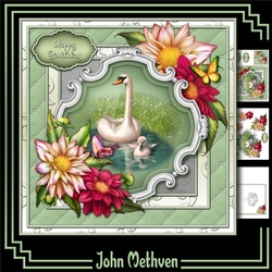 Swan Lake 8x8 Mini Kit