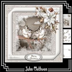 Owls 8x8 Mini Kit