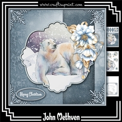 Polar Bear 8x8 Mini Kit