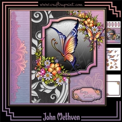 Butterfly 8x8 Mini Kit