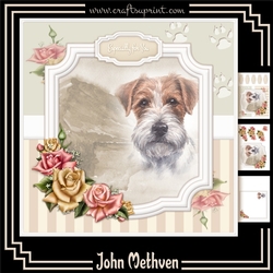 Jack Russell Mini Kit