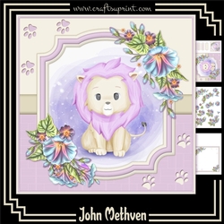 Lil Lion 8x8 Mini Kit