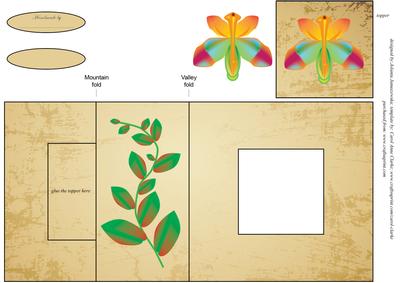 Rainbow Orchid