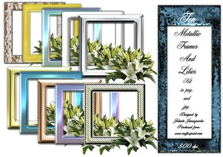 Metallic Frames and Lilies