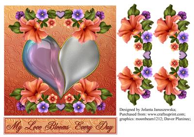 My Love Blooms