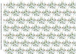 Lilies Background
