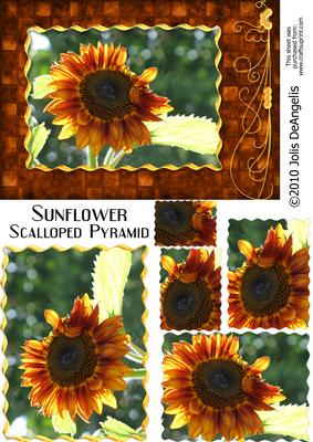 Sunflower Scalloped Pyramid