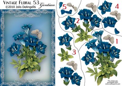 Vintage Floral 53, Gentian