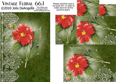 Vintage Floral 66.1