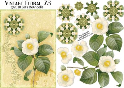 Vintage Floral 73 Camellia