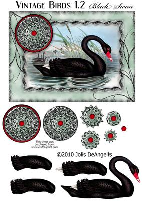 Vintage Birds 1.2, Black Swan