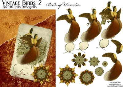 Vintage Birds 2, Bird of Paradise