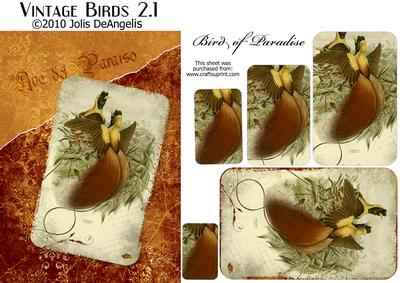 Vintage Birds 2.1, Bird of Paradise