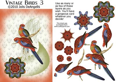 Vintage Birds 3, Tropical Birds 1