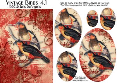 Vintage Birds 4.1, Tropical Birds 2