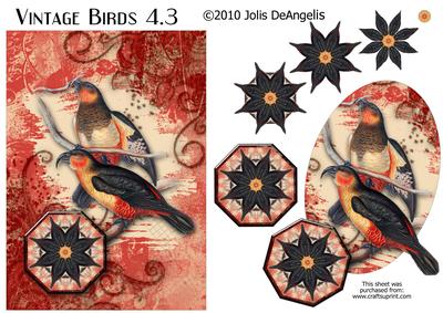 Vintage Birds 4.3, Tropical Birds 2
