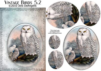 Vintage Birds 5.2, Snowy Owl