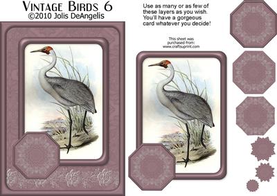 Vintage Birds 6, Australian Brolga