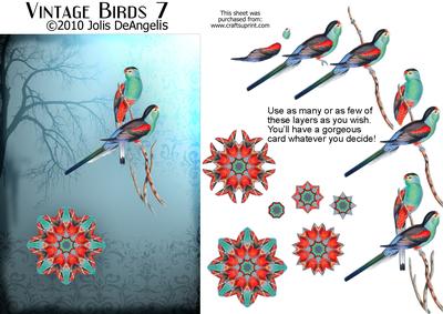 Vintage Birds 7, Parakeets