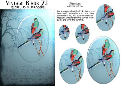 Vintage Birds 7.1, Parakeets