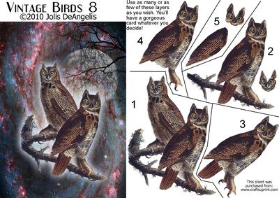 Vintage Birds 8, Great Horned Owl