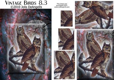 Vintage Birds 8.3, Great Horned Owl