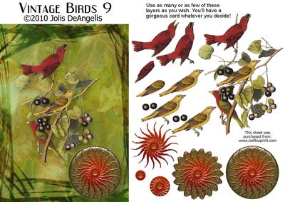 Vintage Birds 9, Summer Tanager