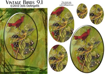 Vintage Birds 9.1, Summer Tanager