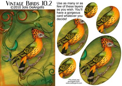 Vintage Birds 10.2
