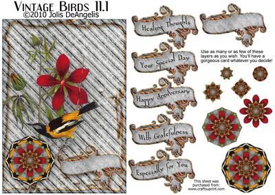 Vintage Birds 11.1, Troupial