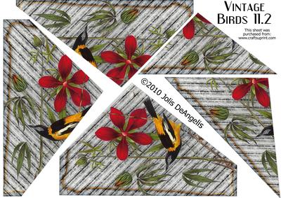Vintage Birds 11.2, Troupial