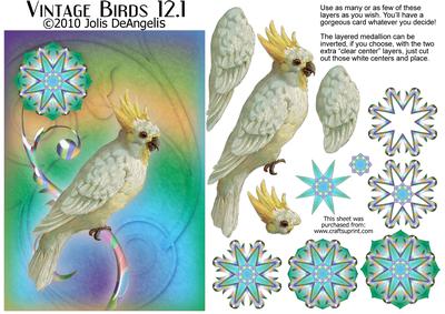 Vintage Birds 12.1, Cockatoo