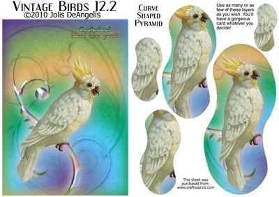 Vintage Birds 12.2, Cockatoo