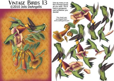 Vintage Birds 13, Hummingbirds