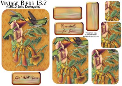 Vintage Birds 13.2, Hummingbirds