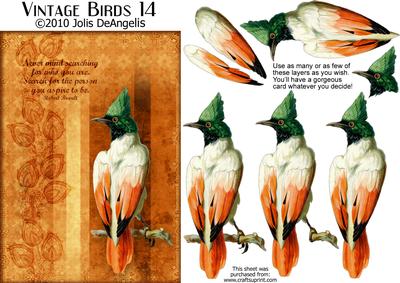 Vintage Birds 14
