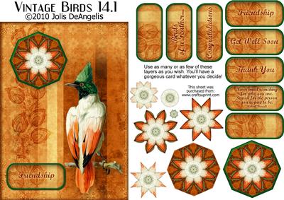 Vintage Birds 14.1