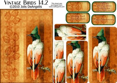 Vintage Birds 14.2