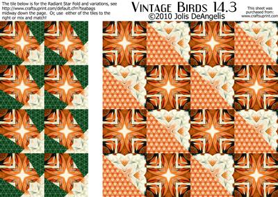 Vintage Birds 14.3