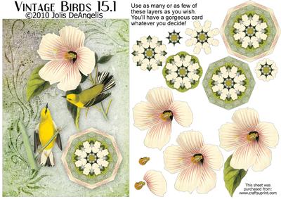 Vintage Birds 15.1, Blue-winged Warbler