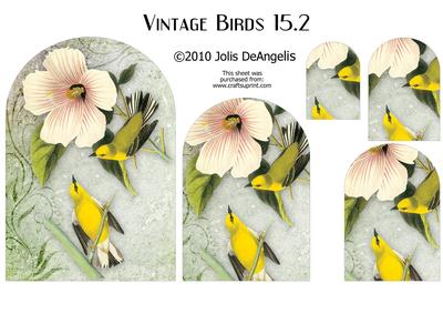 Vintage Birds 15.2, Blue-winged Warbler
