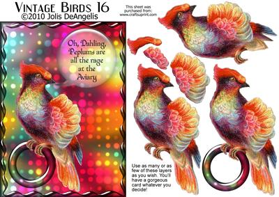 Vintage Birds 16, Fashionista