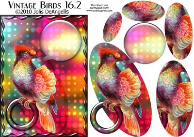 Vintage Birds 16.2, Fashionista