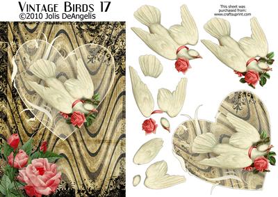 Vintage Birds 17, Dove