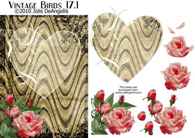 Vintage Birds 17.1, Dove