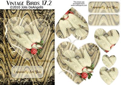 Vintage Birds 17.2, Dove