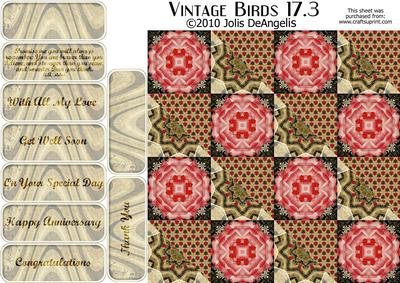 Vintage Birds 17.3, Dove
